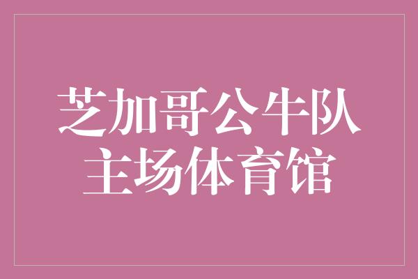 芝加哥公牛队主场体育馆