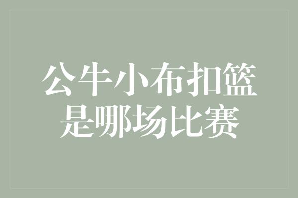 公牛小布扣篮是哪场比赛