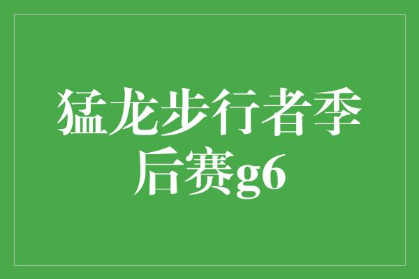 猛龙步行者季后赛g6