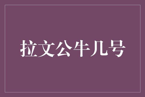 公牛队!拉文公牛几号