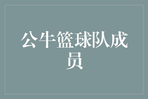 公牛篮球队成员