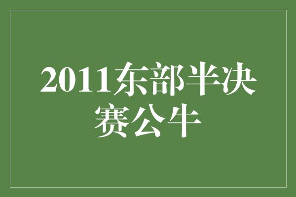 2011东部半决赛公牛