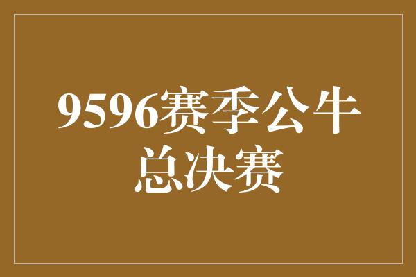 9596赛季公牛总决赛