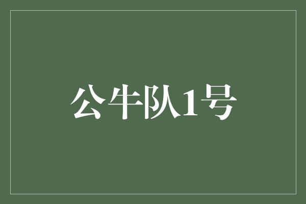 公牛队1号