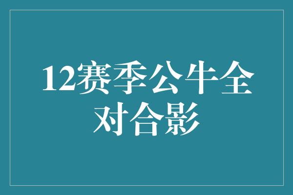 12赛季公牛全对合影