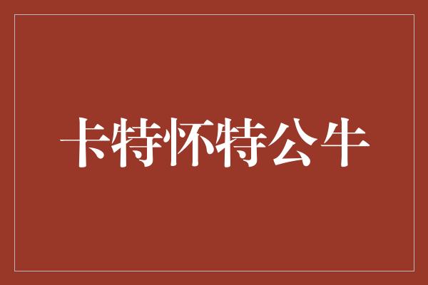 怀特!卡特怀特公牛 传奇的篮球之旅