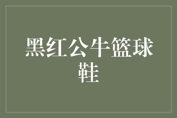黑红公牛篮球鞋