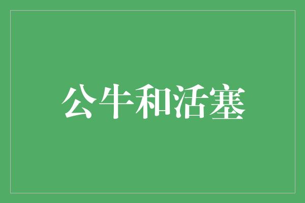 公牛队！激情对决！公牛与活塞引领NBA新一轮较量