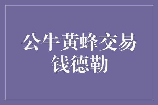 公牛黄蜂交易钱德勒