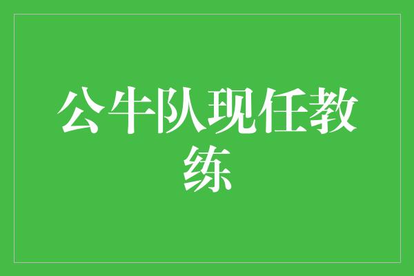 公牛队！掌舵公牛队的现任教练 引领青春风暴的舵手