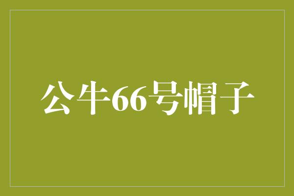 公牛66号帽子