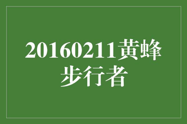 20160211黄蜂步行者