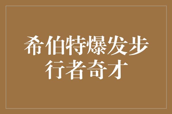 希伯特爆发步行者奇才