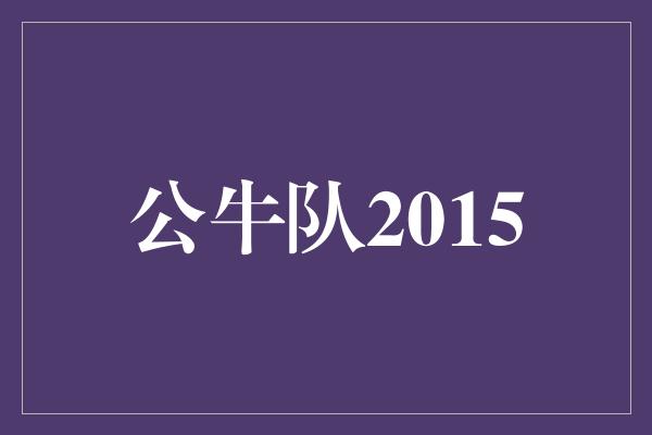 公牛队！重返巅峰！公牛队2015 英勇战斗，激荡篮坛