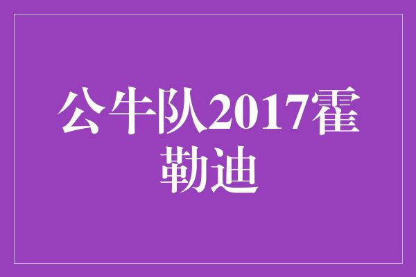 公牛队!公牛队2017霍勒迪 新赛季的希望之光