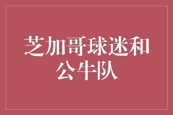 芝加哥球迷和公牛队