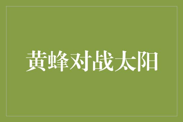 默契！黄蜂对战太阳 勇往直前，追寻胜利的光芒