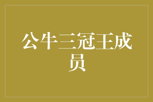 公牛三冠王成员