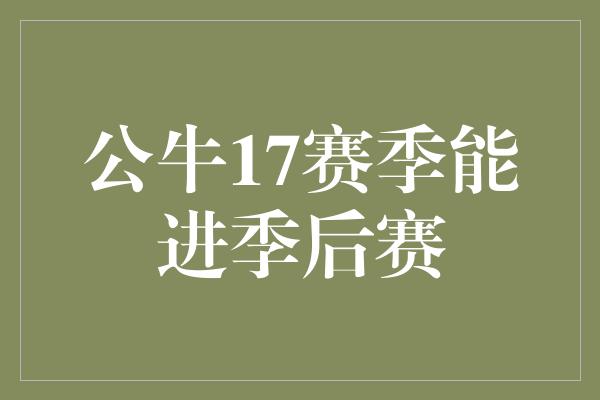 公牛17赛季能进季后赛