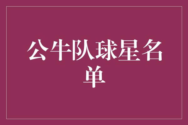 公牛队球星名单