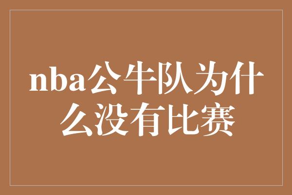 nba公牛队为什么没有比赛