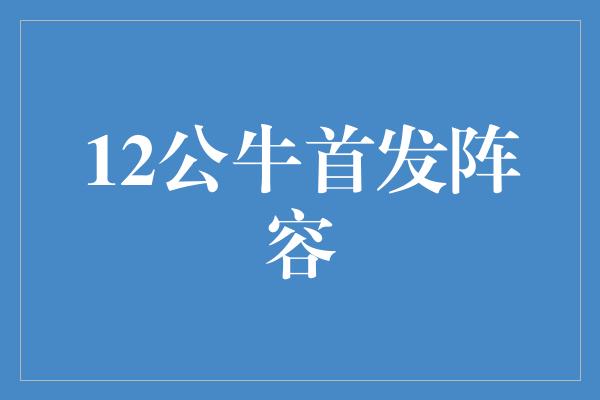 12公牛首发阵容