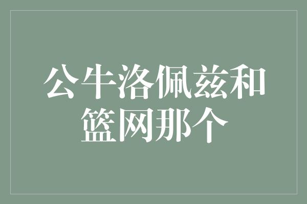 公牛洛佩兹和篮网那个