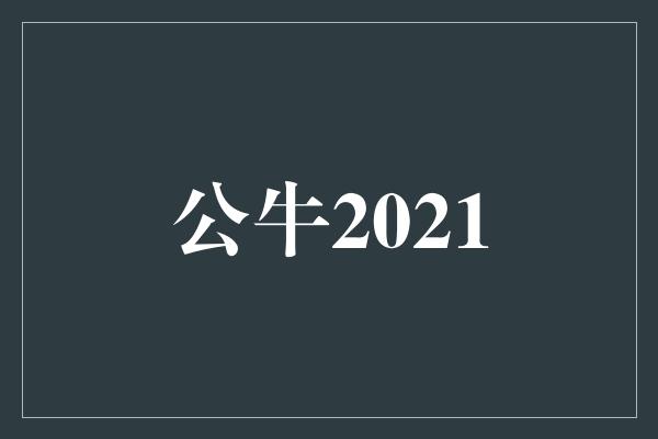 公牛队!公牛2021 决战之年,展翅翱翔