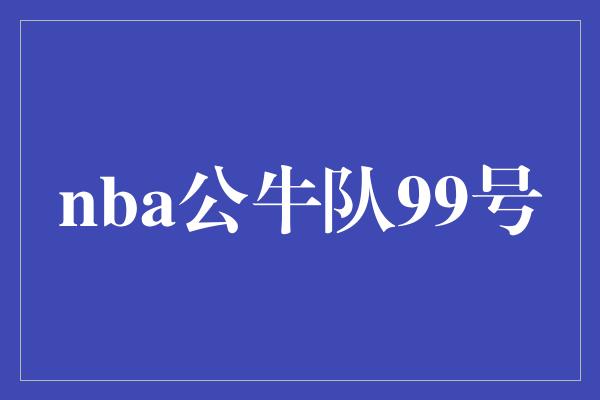 nba公牛队99号
