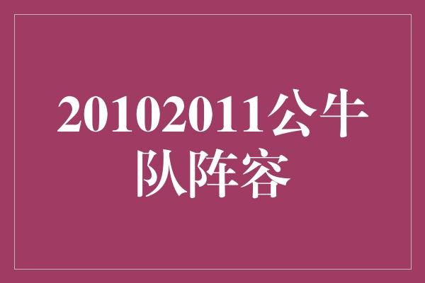 20102011公牛队阵容