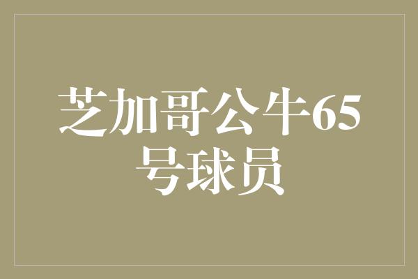公牛队!传奇绽放!回顾芝加哥公牛65号球员的辉煌篇章