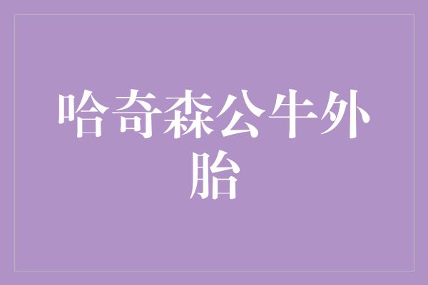 哈奇森公牛外胎
