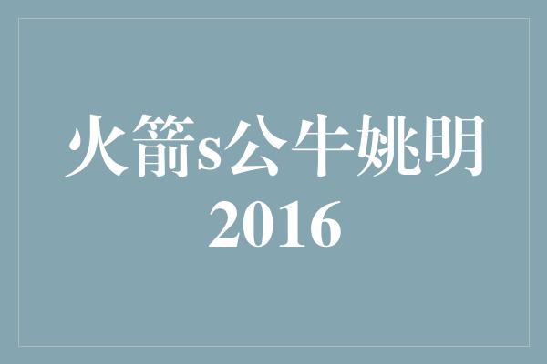 火箭s公牛姚明2016