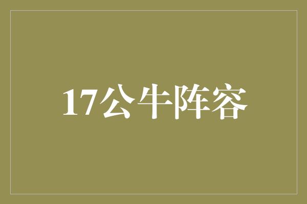 公牛队!17公牛阵容 重组力量,冲击总冠军!