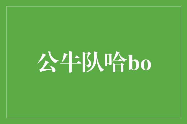 公牛队！重返辉煌！公牛队哈bo，引领全新篇章