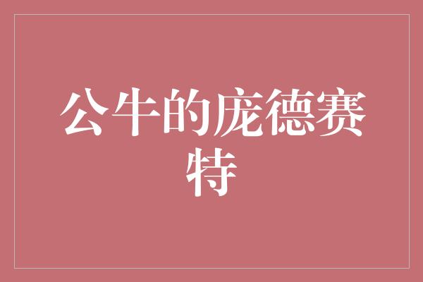 公牛队!庞德赛特 公牛队的不可或缺之星