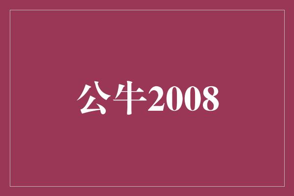 公牛2008