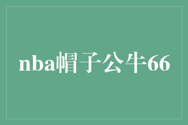 nba帽子公牛66