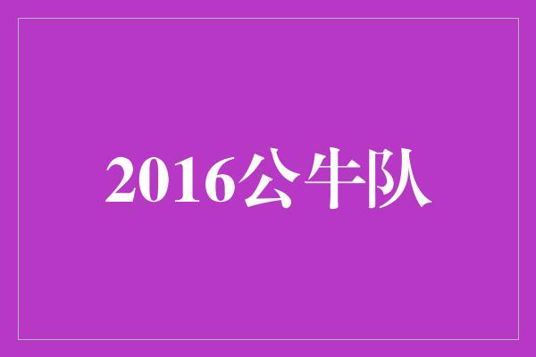 公牛队！回顾2016年公牛队的辉煌时刻