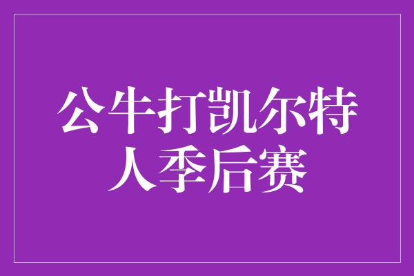 公牛打凯尔特人季后赛