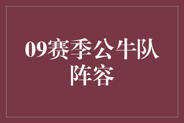 09赛季公牛队阵容