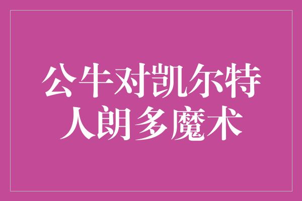 公牛对凯尔特人朗多魔术