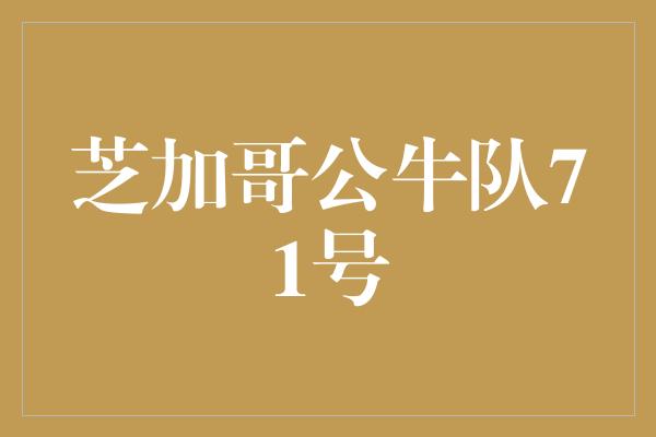 芝加哥公牛队71号