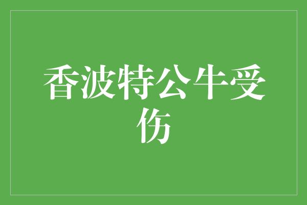 公牛队！香波特公牛在伤病中崛起