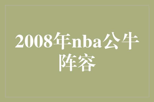 2008年nba公牛阵容