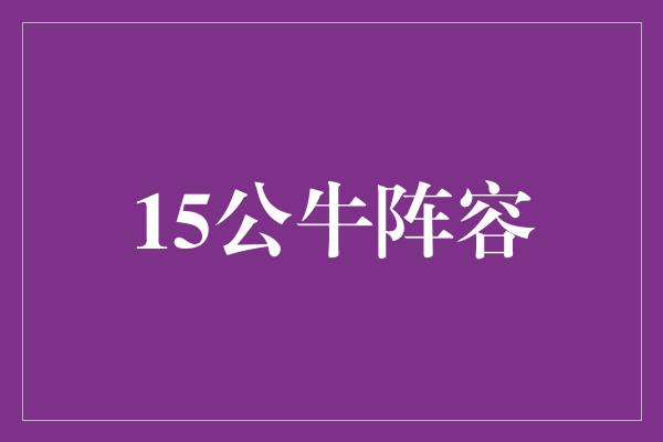 公牛队！15公牛阵容-向未来迈进的青春力量