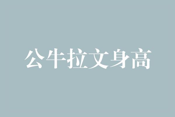 公牛拉文身高