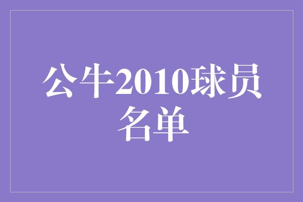 公牛队！公牛2010球员名单 回顾辉煌时刻，重温巅峰荣光