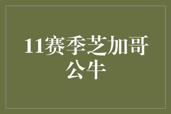 11赛季芝加哥公牛