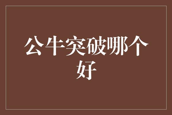 应对!公牛突破哪个好,打造强大的团队合作精神